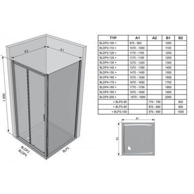 Душевые двери Ravak Blix BLDP2- 100 Полир. алюм. Grape